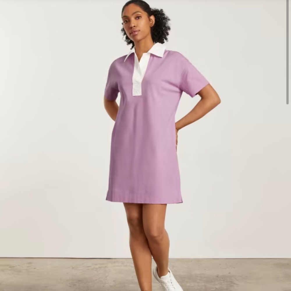 Everlane Organic Cotton Polo Dress, Small